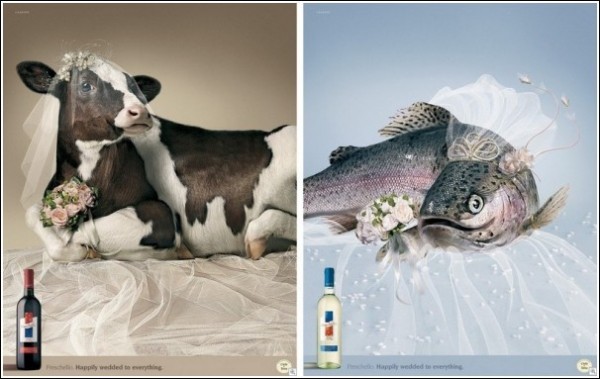 PHPTeaser - Скрипт тизерной сети_0.jpg